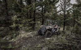 Polaris 2016 RZR 900 – White Lighting forest