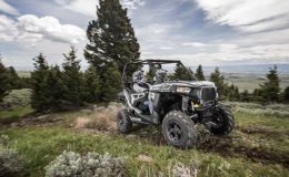 Polaris 2016 RZR 900 – White Lighting wilderness1