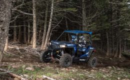 Polaris 2016 RZR S 900 – White Lightning forest