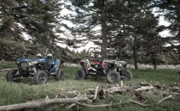 Polaris 2016 RZR S 900 – White Lightning forest2