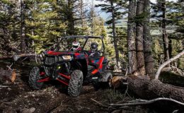 Polaris 2016 RZR S 900 – White Lightning treestump